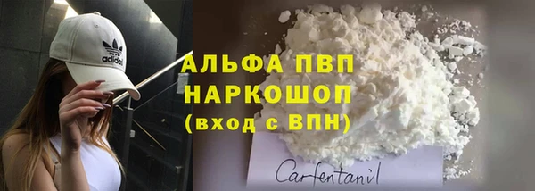 ГАЛЛЮЦИНОГЕННЫЕ ГРИБЫ Майский