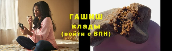 индика Алзамай