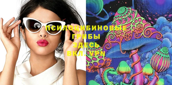 индика Алзамай