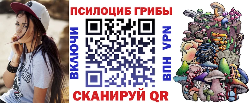 Псилоцибиновые грибы Magic Shrooms  ссылка на мегу tor  Сосновоборск  где купить  